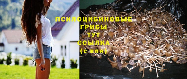 MESCALINE Нефтегорск