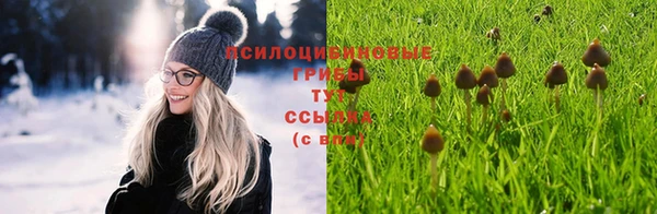 MESCALINE Нефтегорск