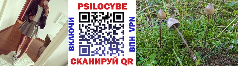 Псилоцибиновые грибы Psilocybe  купить закладку  Тюмень 